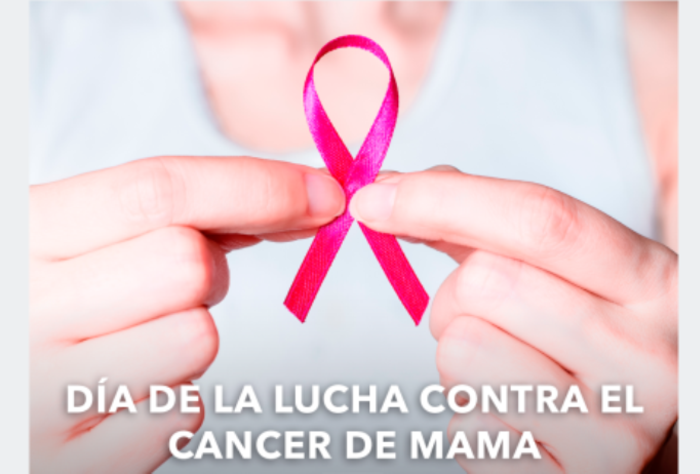 Día de lucha contra el cáncer de mama